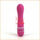 vibrator_2.jpg
